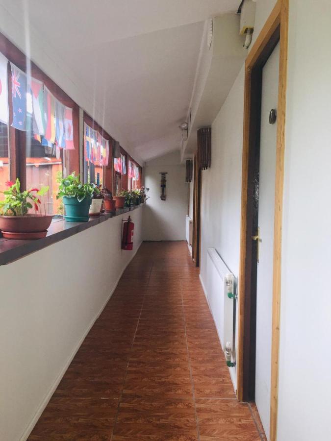 Hospedaje Irma Backpackers Pucón Dış mekan fotoğraf