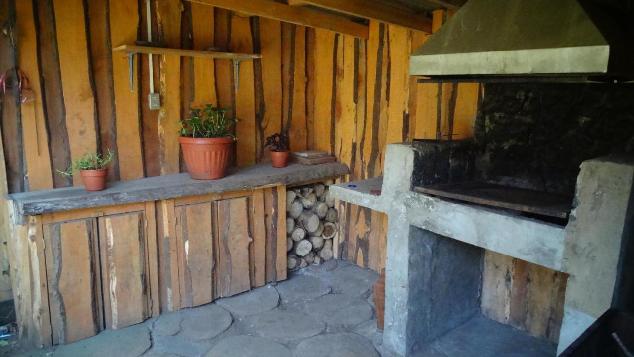 Hospedaje Irma Backpackers Pucón Dış mekan fotoğraf